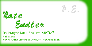 mate endler business card